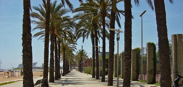 apartamentos vacacionales en Sant Adrià